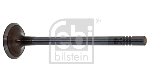 Intake Valve (32340)