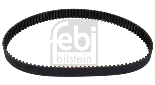 Timing Belt (173885)