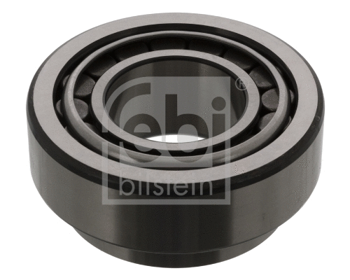 Wheel Bearing (44770)