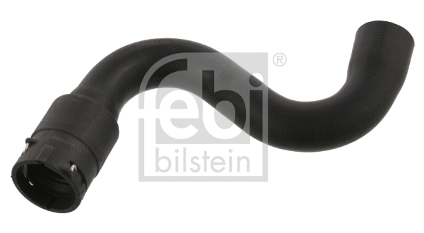 Radiator Hose (36278)
