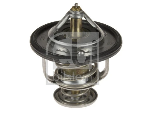 Thermostat, coolant (107707)