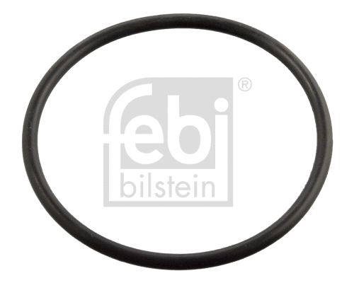 Seal, thermostat (11443)