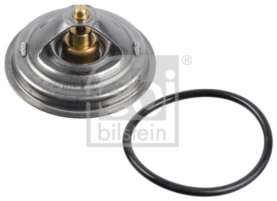 Thermostat, coolant (171594)
