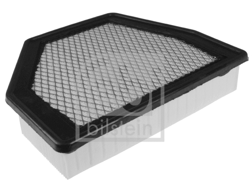 Air Filter (109615)