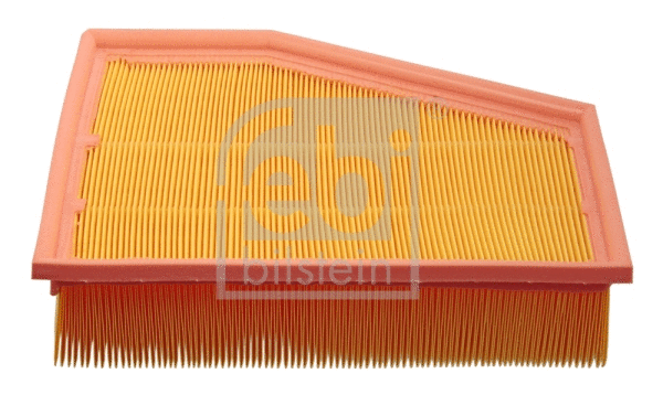 Air Filter (48529)