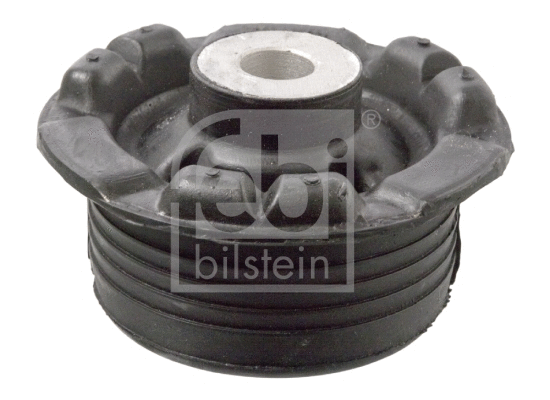Bushing, axle beam (14549)