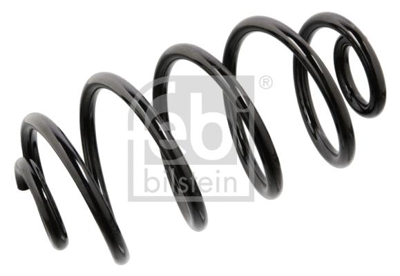 Suspension Spring (104718)