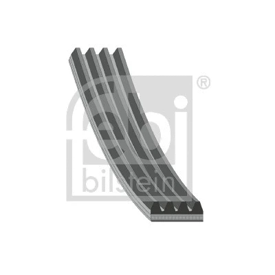 V-Ribbed Belt (181224)