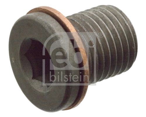 Screw Plug, oil sump (104309)