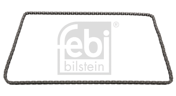 Timing Chain (25167)