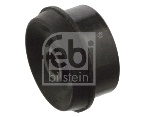 Bushing, axle beam (12008)