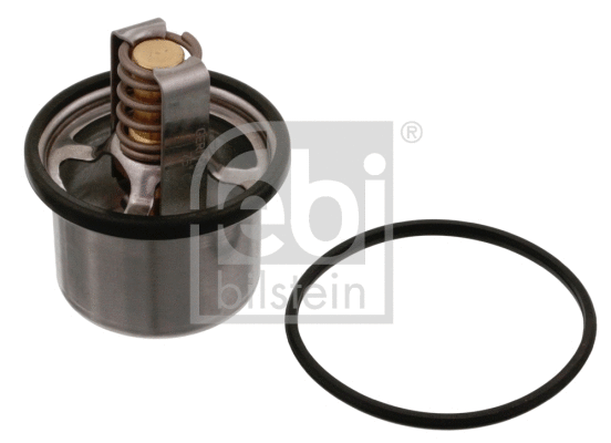 Thermostat, coolant (31967)