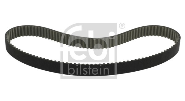 Timing Belt (19542)