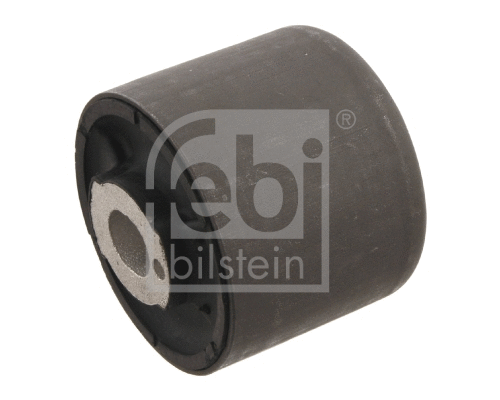 Mounting, differential (29367)