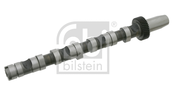 Camshaft (26976)