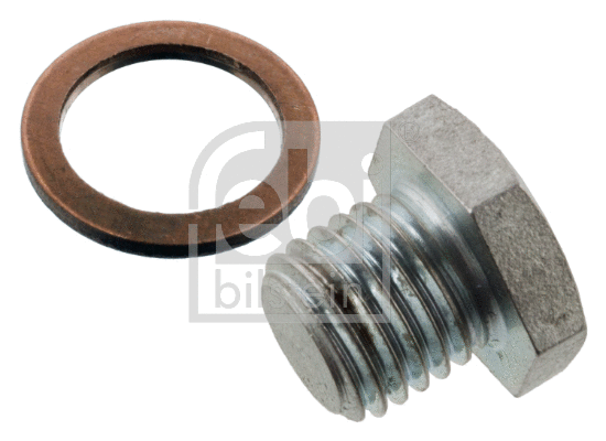 Screw Plug, oil sump (171285)