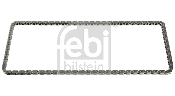 Timing Chain (29522)