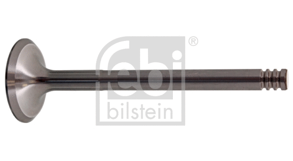 Intake Valve (19966)