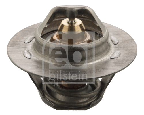 Thermostat, coolant (17694)