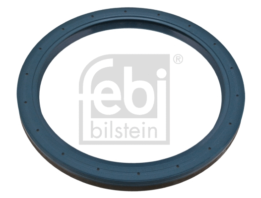 Shaft Seal, wheel hub (05352)
