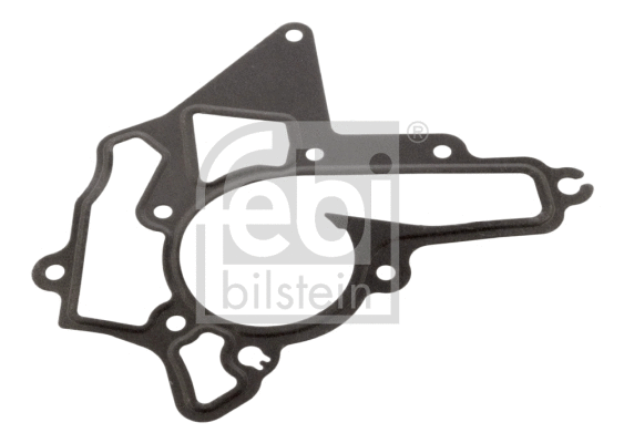 Gasket, water pump (49406)
