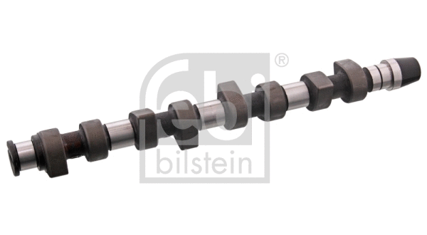 Camshaft (10009)