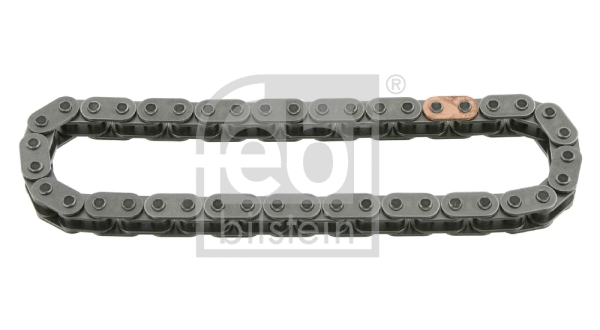 Timing Chain (25227)