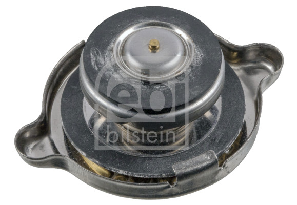 Cap, coolant tank