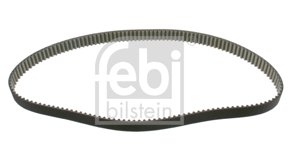 Timing Belt (23554)