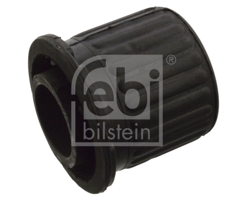 Bushing, axle beam (10301)
