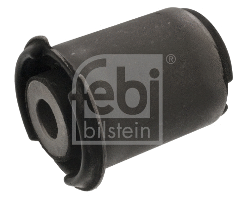 Mounting, control/trailing arm (49443)