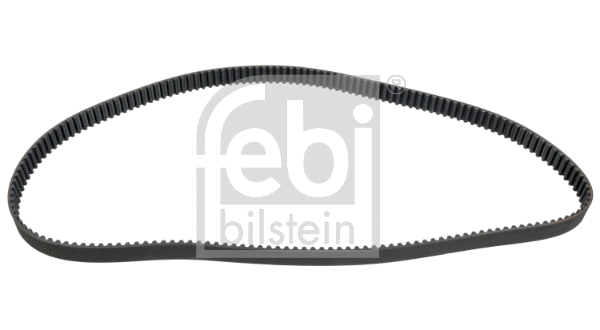 Timing Belt (23425)