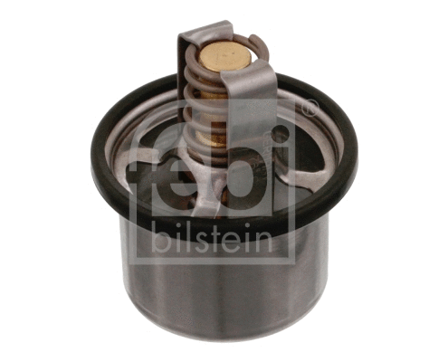 Thermostat, coolant (22545)