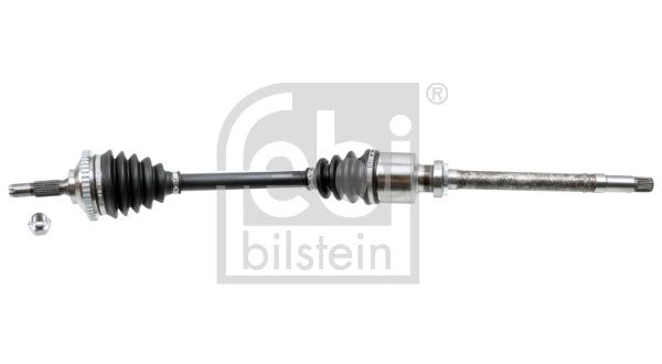Drive Shaft (181261)