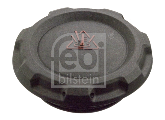 Cap, coolant tank (103522)