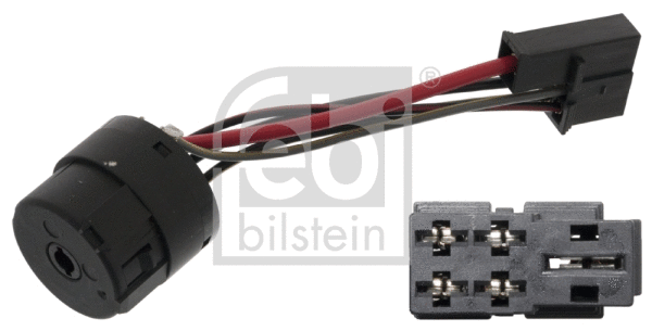 Ignition Switch (101012)
