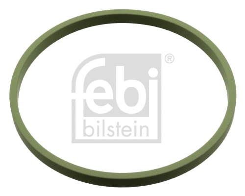 Gasket, intake manifold (107960)