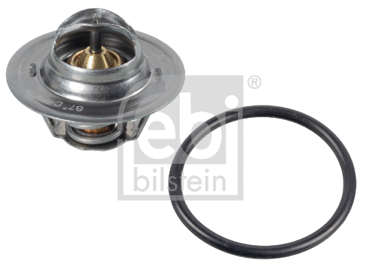 Thermostat, coolant (17890)