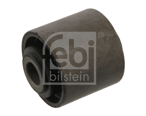 Mounting, control/trailing arm (10151)