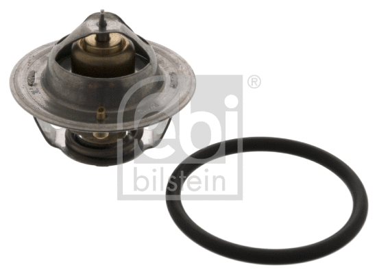 Thermostat, coolant (18276)