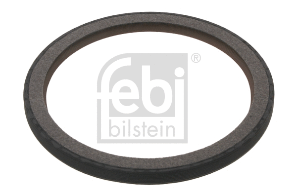 Shaft Seal, crankshaft (29875)