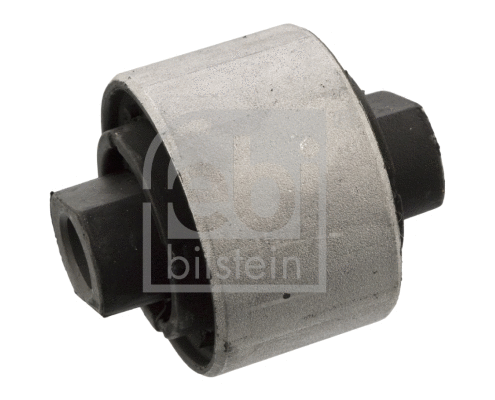 Mounting, control/trailing arm (10020)