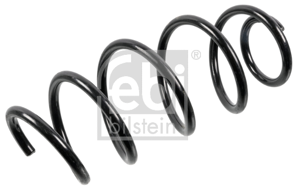 Suspension Spring (176334)
