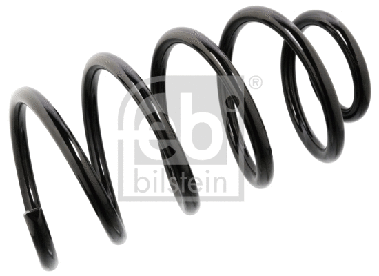 Suspension Spring (104703)