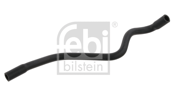 Radiator Hose (100681)