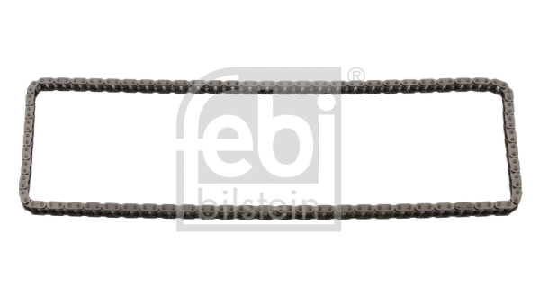 Timing Chain (29900)