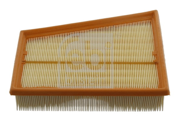 Air Filter (31263)