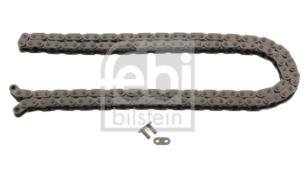 Timing Chain (29629)
