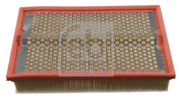 Air Filter (11125)