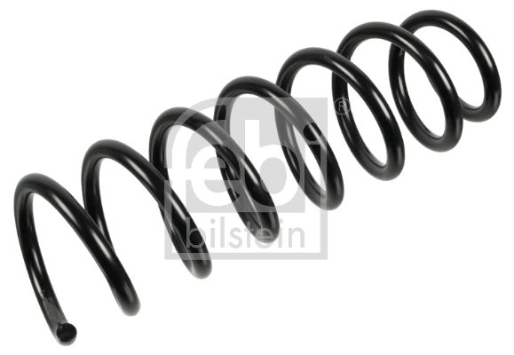 Suspension Spring (174187)